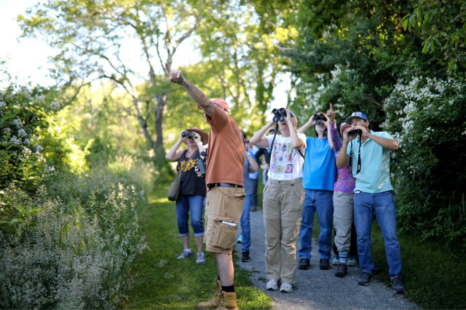 Go birding at Norman Bird Sanctuary.