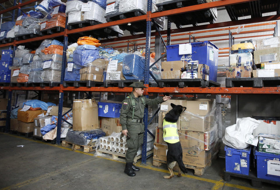 Drug dog Sombra looks for drugs in the cargo hold of El Dorado airport in Bogota, Colombia, Thursday, July 26, 2018. Some of Sombra’s recent busts include uncovering over five tons of Gulf Clan cocaine destined for Europe and concealed in crates of bananas. Overall, officers credit her incredible nose with more than 245 drug-related arrests at two of Colombia’s biggest international airports. (AP Photo/Fernando Vergara)