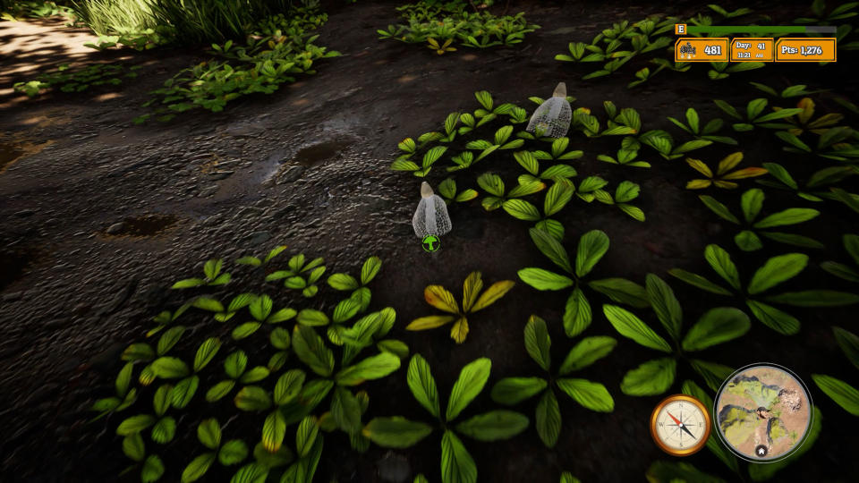 Morels: The Hunt 2 screenshot