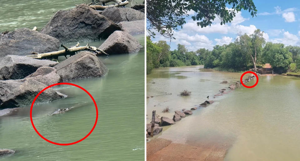 Crocodile hiding in water at Cahill Crossing in Northern Territory. 