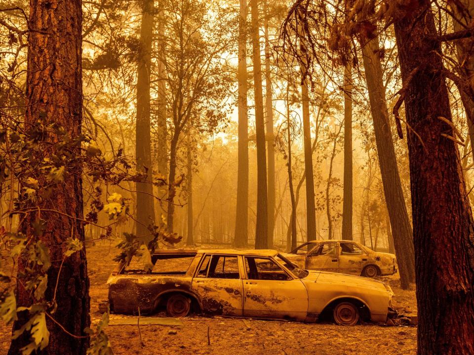 A scorched car sits in the forest.