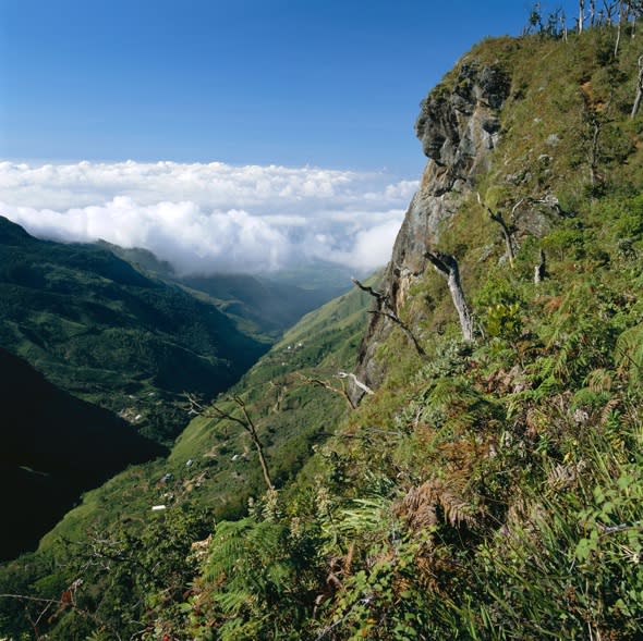 Honeymooner falls 4,000ft while taking photos of new wife - and survives