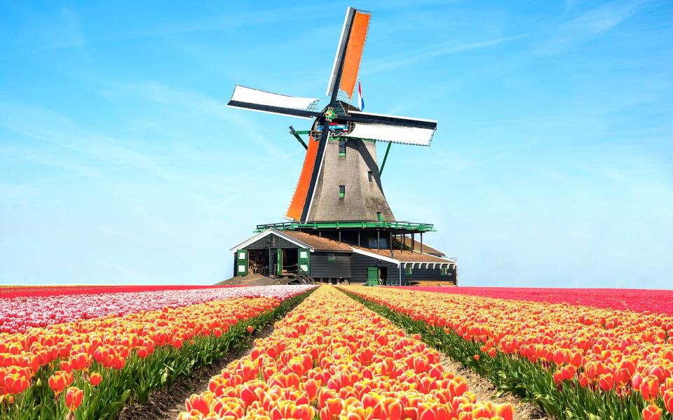 <p>Mark 14 years of your love with flowers, but skip the staid bouquet and instead head to the flower capital of the world: the Netherlands. Each spring, Holland erupts in tulip blooms and there’s no better place to appreciate the ebulliently colorful flowers than at <a rel="nofollow noopener" href="http://www.travelandleisure.com/slideshows/best-places-to-visit-spring-flowers/6" target="_blank" data-ylk="slk:Keukenhof;elm:context_link;itc:0;sec:content-canvas" class="link ">Keukenhof</a> Gardens, which has been pushing up tulips since the 15th century. The annual flower festival spans two months and boasts seven <em>million</em> bulbs, so travelers have countless opportunities to tip toe through the tulips with the one you love. Keukenhof is the ultimate destination for flower lovers, and it's an easy train ride from <a rel="nofollow noopener" href="http://www.travelandleisure.com/travel-guide/amsterdam" target="_blank" data-ylk="slk:Amsterdam;elm:context_link;itc:0;sec:content-canvas" class="link ">Amsterdam</a>.</p>