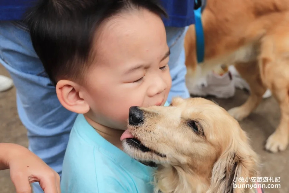 台中景點｜獵犬不打獵寵物餐廳