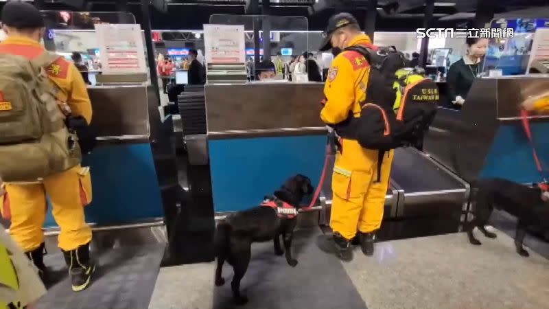 土耳其發生強震，許多搜救犬出動，一同飛去土耳其。