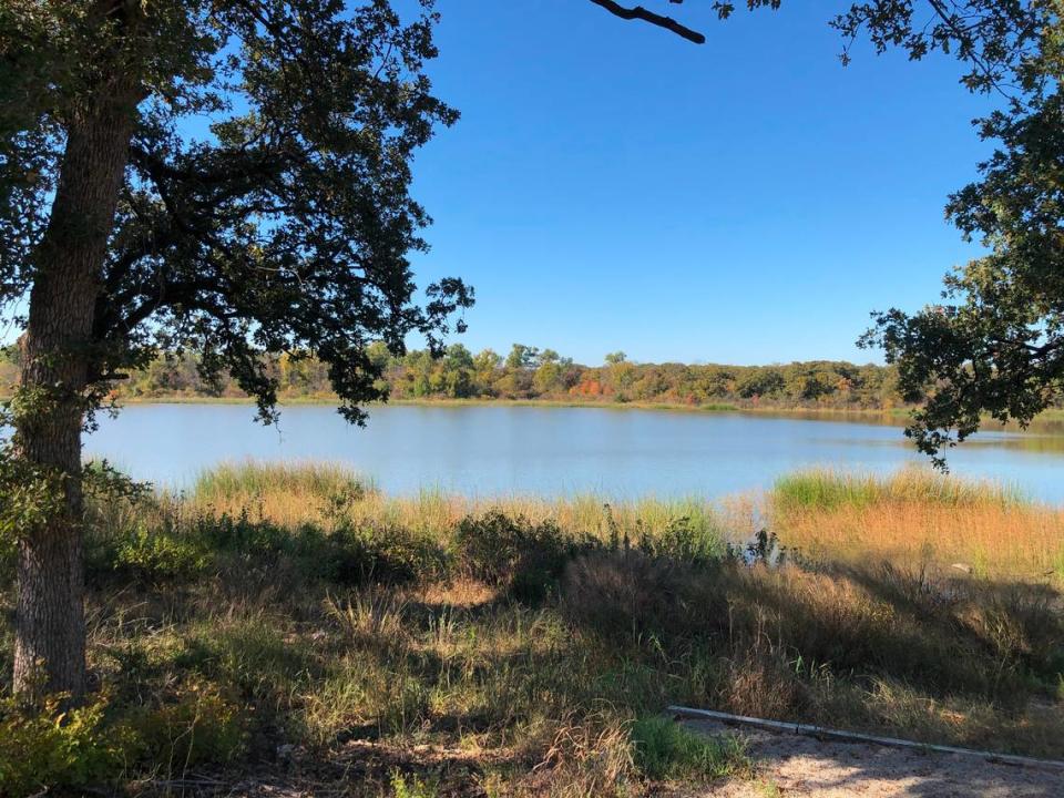 The first reported sighting of the Lake Worth Monster occurred near Greer Island the night of July 9, 1969. Fort Worth native and author of “Texas Bigfoot” Lyle Blackburn said the subject still draws a lot of interest today.