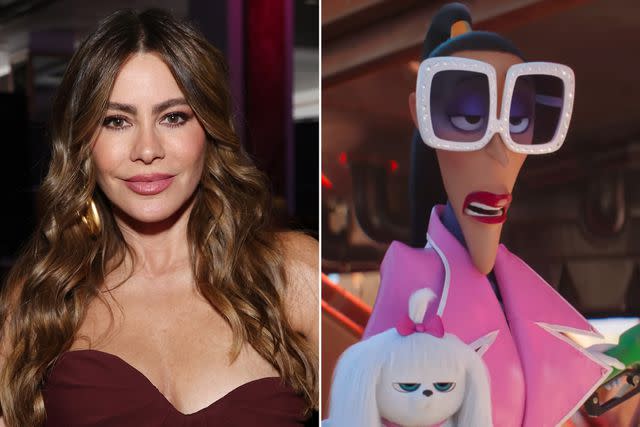 <p>Amy Sussman/Getty ; Illumination</p> Sofia Vergara attends "An Unforgettable Evening" Benefiting The Women's Cancer Research Fund on April 10, 2024 in Beverly Hills, California. ; Valentina in 'Despicable Me 4'.