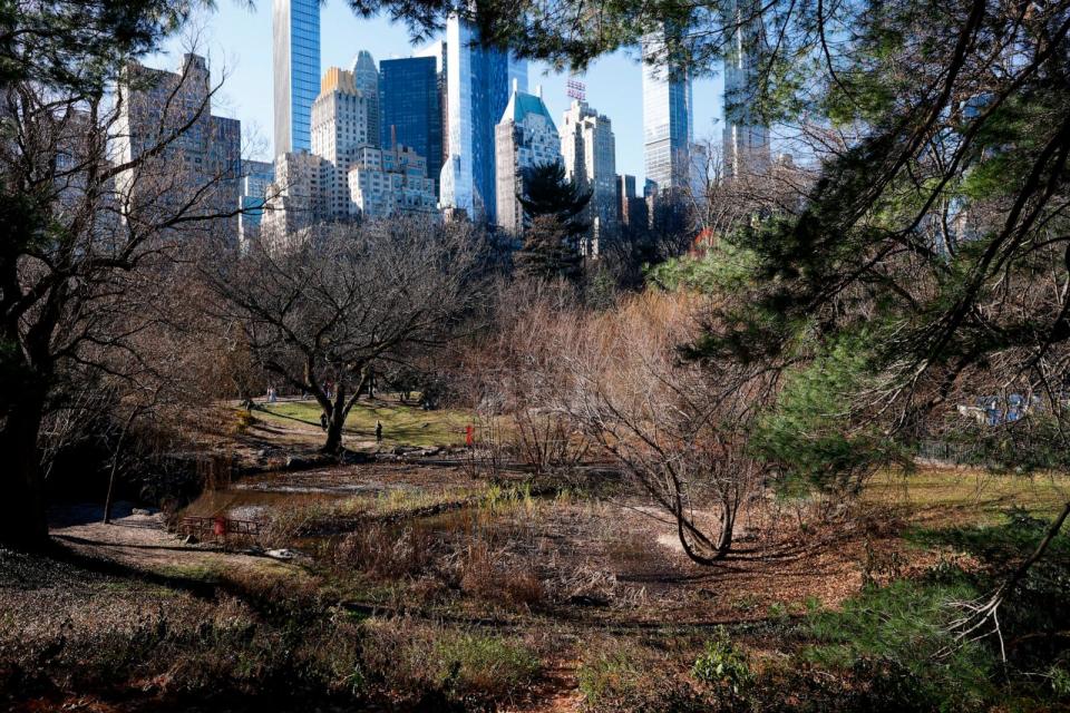 PHOTO: People visit Central Park, Dec. 20, 2023, in New York. (View Press/Corbis via Getty Images)