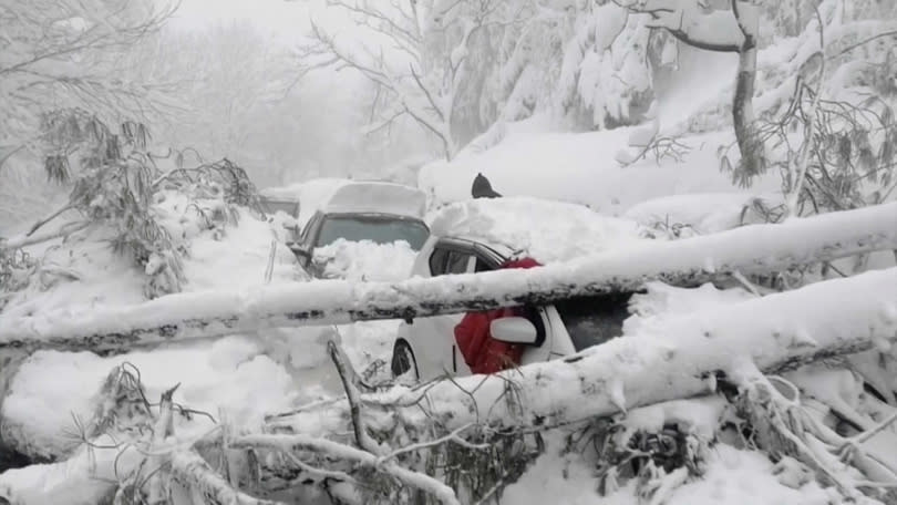 數千輛汽車追雪卻慘遭活埋。（圖／達志／路透）