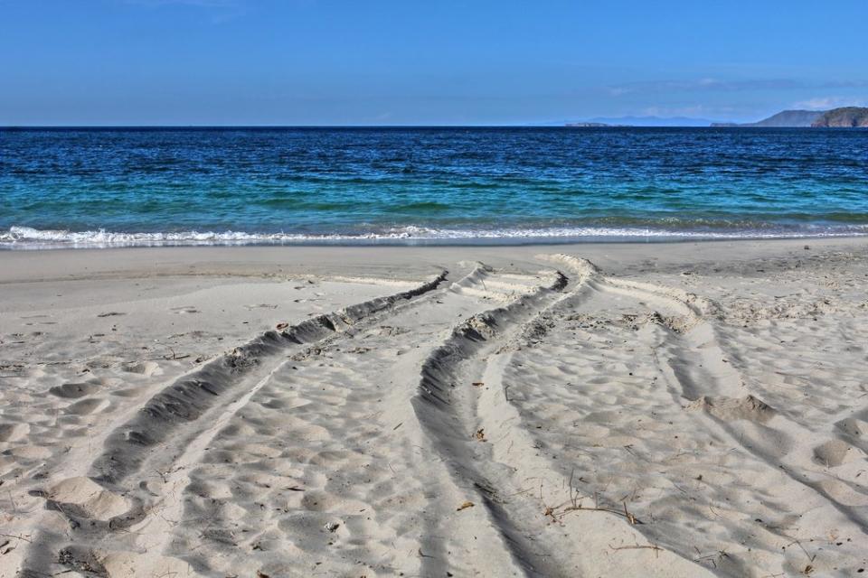 car tracks on the beach in Costa Rica