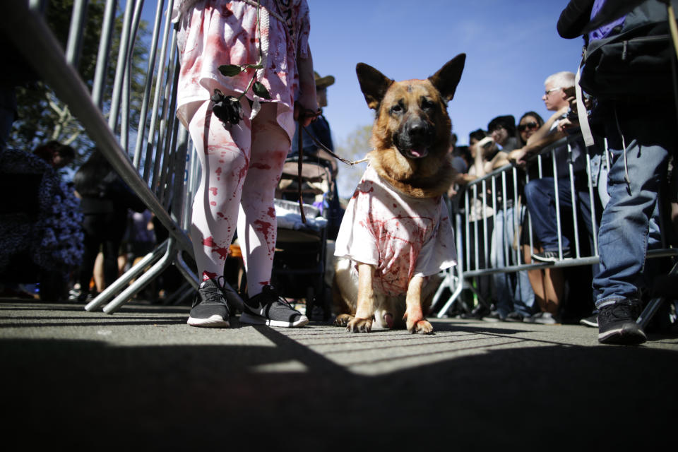 Costumed pooches prance In annual Halloween Dog Parade in New York City