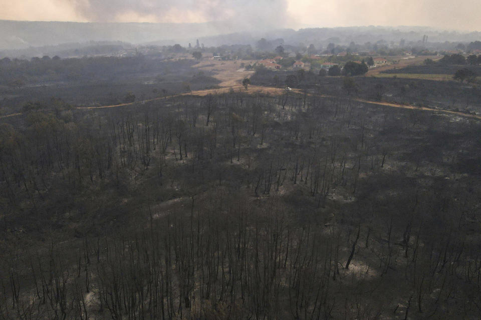 Burnt trees stand as a wildfire burns in Giannouli village, in the northeastern Evros region, Greece, Thursday, Aug. 31, 2023. Greek authorities have further reinforced firefighting forces in the country's northeast, where a massive blaze in its thirteenth day has flared up once more, triggering authorities to issue alerts to residents in the area to be on standby for possible evacuation. (e-evros.gr via AP)