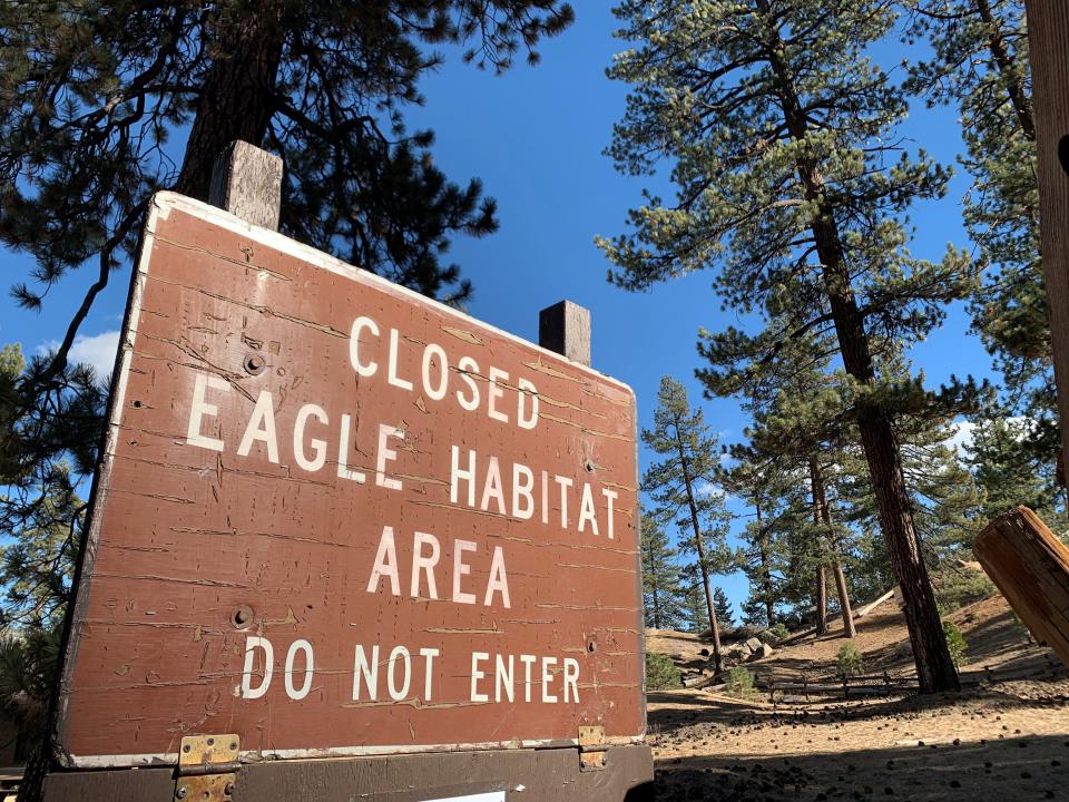 A sign notifies people that an area northwest of Big Bear Lake is closed due to nesting bald eagles.