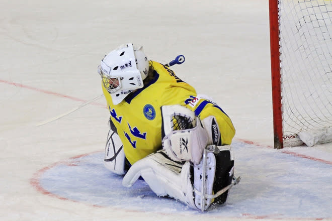 Sweden's Goalkeeper Marcus Hogberg Reacts AFP/Getty Images