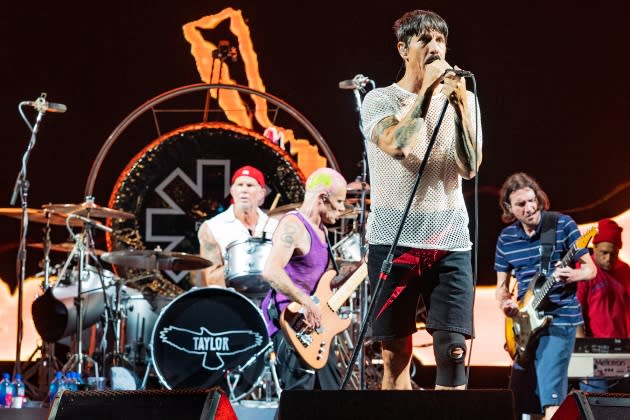 red-hot-chili-peppers-tribute - Credit: Erika Goldring/WireImage