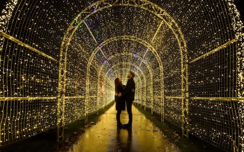 The beauty of Christmas at Kew has attracted many families and tourists over the last five years - Credit: AFP