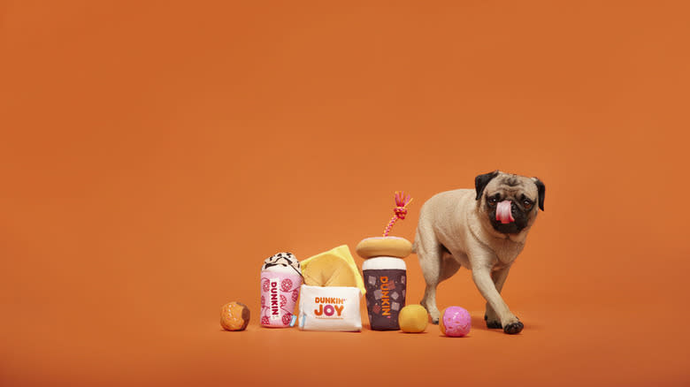 pug with Dunkin' toys