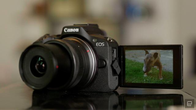 Canon R50 Review