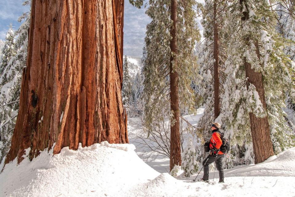 Snow on the ground at Alder Creek creates an otherworldly landscape.