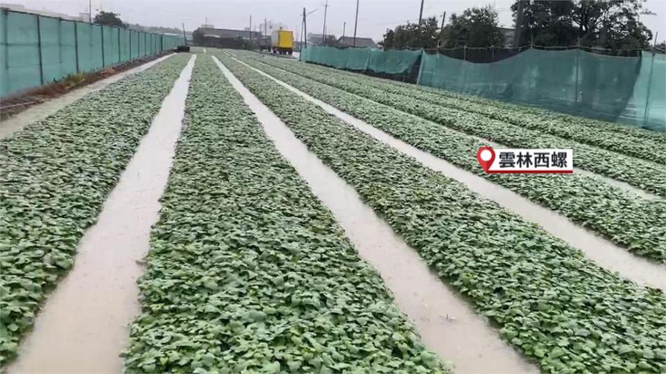 中部地區清晨下大雨多地淹水　南投信義鄉土石流淹沒路面