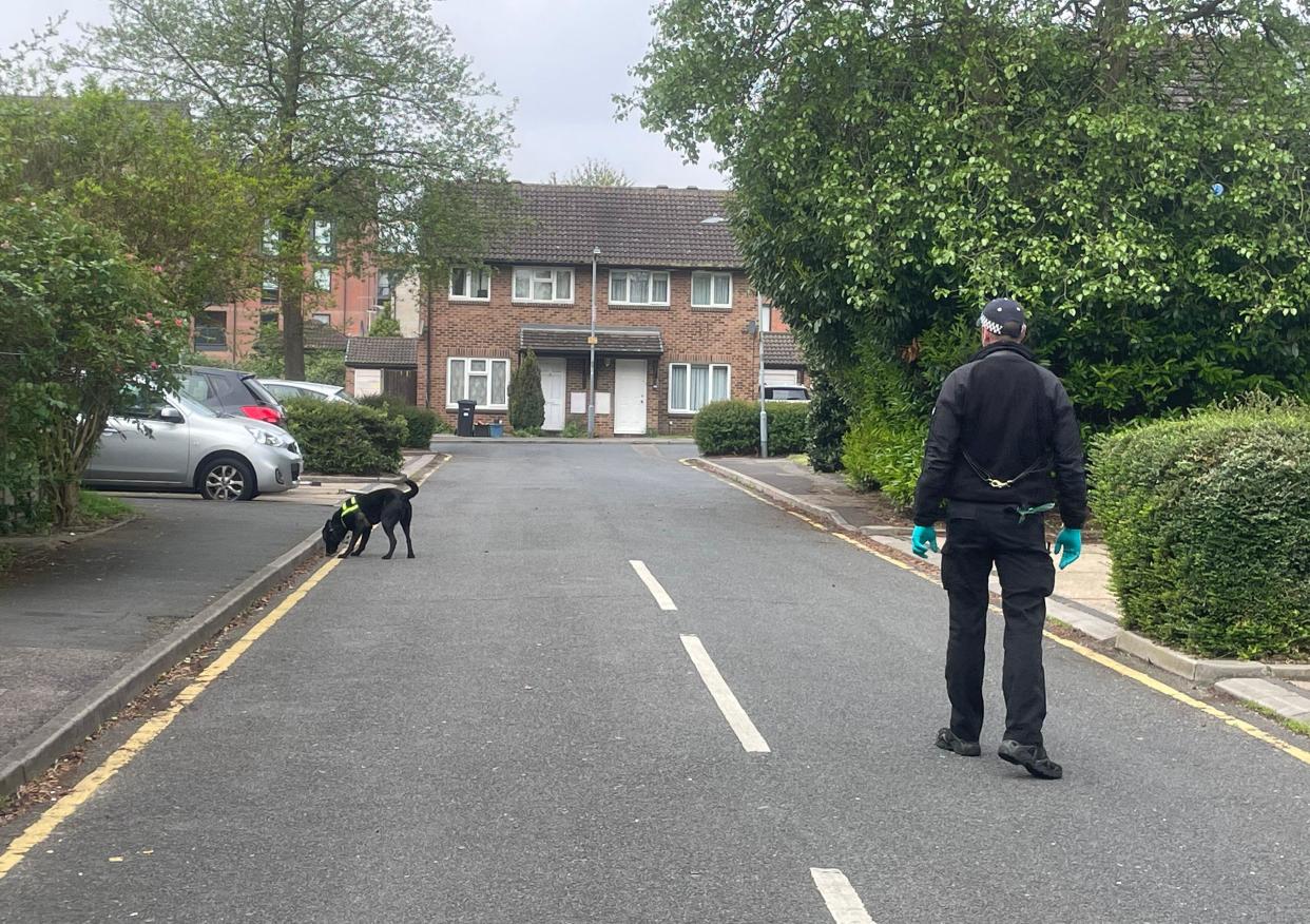 A police sniffer dog sweeps through the streets around the police cordon in Hainault, north east London, where a 14-year-old boy was killed in a sword attack on Tuesday, that saw four others injured, including two Metropolitan Police officers. A 36-year-old man was tasered and arrested, then taken to hospital, after sustaining injuries when his van hit a house. Picture date: Wednesday May 1, 2024.