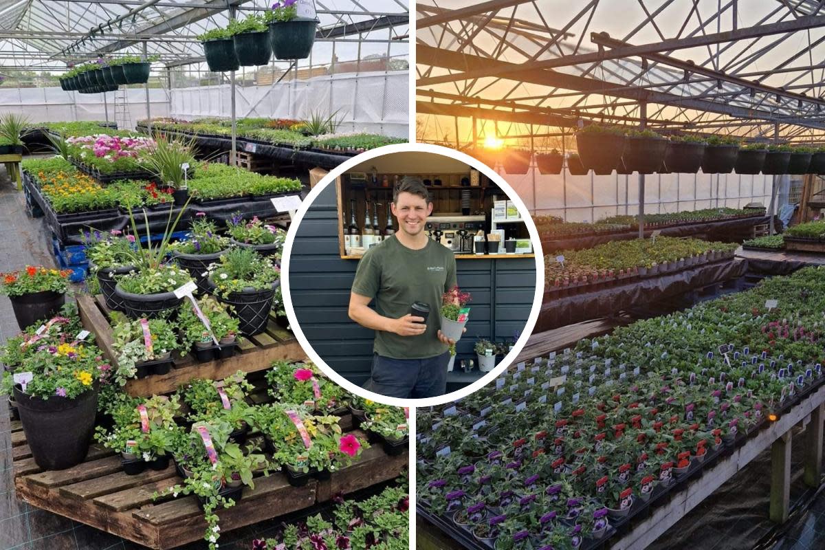 After a popular first season, more growth is on the horizon for budding entrepreneur, Ben Sanderson as he expands the size and range of his seasonal nursery and garden centre, Ben’s Plants <i>(Image: BEN'S PLANTS)</i>