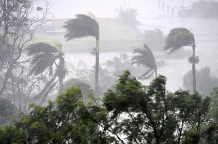 Strong wind and rain from Cyclone Debbie is seen effecting trees at Airlie Beach, located south of the northern Australian city of Townsville, March 28, 2017. AAP/Dan Peled/via REUTERS