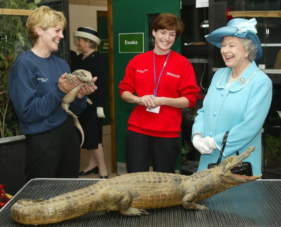 Queen Elizabeth meets a lizard