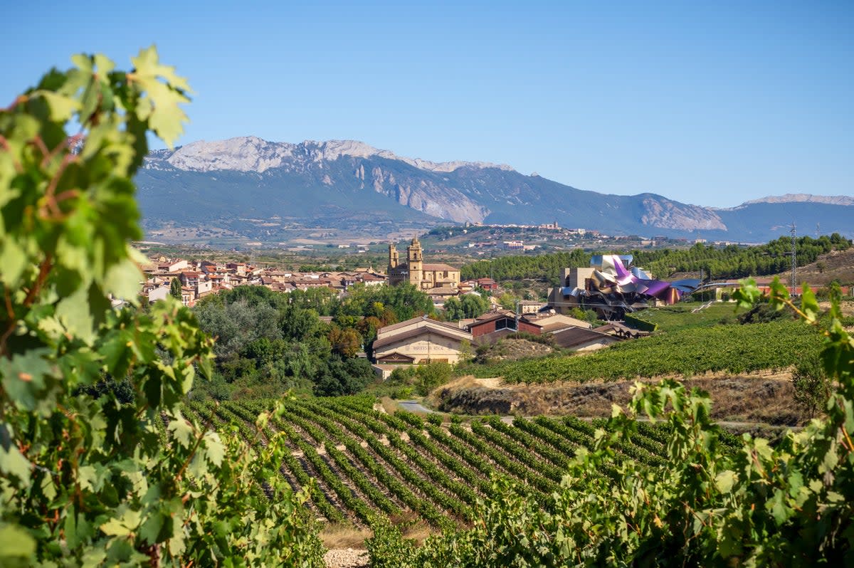 Rioja traces its wine-making heritage back to Roman times (Getty Images/iStockphoto)