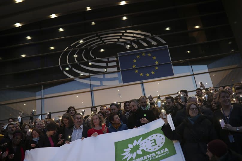 The European Greens group is one of the most established within the institutional frame and was formed in 1999 at the beginning of the 5th European Parliament term.