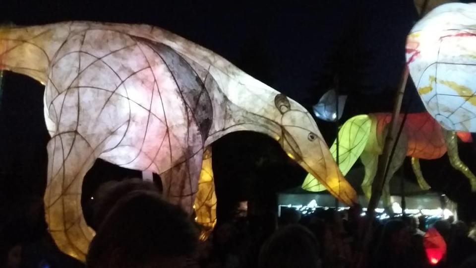 Participants make their way along the route of the first Luminary Procession in 2018.