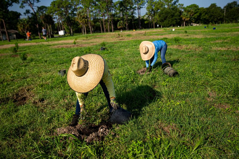 Volunteers plant native trees at W.P. Franklin South Recreation Area on Sept. 24, 2022. It was an event put on by the U.S. Army Corps of Engineers several days before Hurricane Ian slammed ashore in Southwest Florida. Most of the trees planted that day survived.