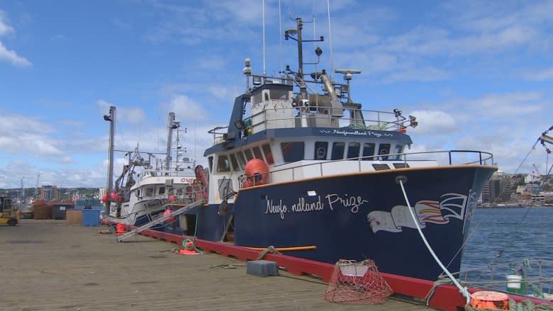 A shrimp apocalypse? Anything is possible, says DFO scientist