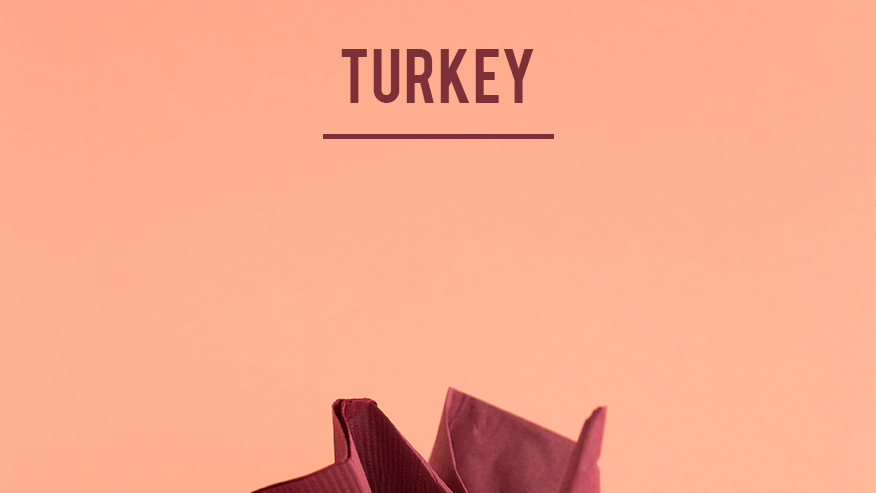thanksgiving crafts folded turkey napkin