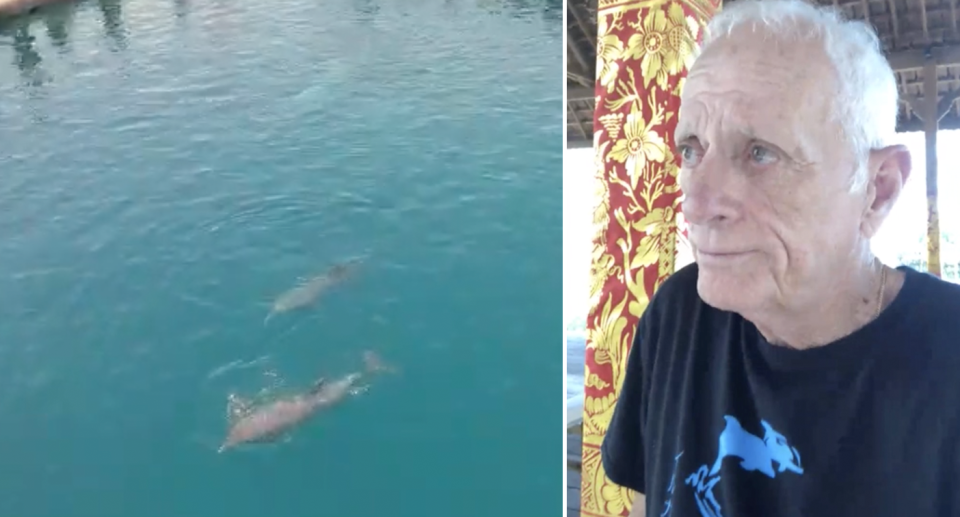 Split screen. Dewa and Johnny in the ocean. Close up of 80-year-old Ric O'Barry.