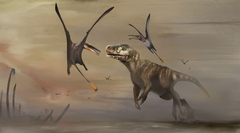 Newly identified Jurassic Period flying reptile, or pterosaur, called 'Dearc sgiathanach'