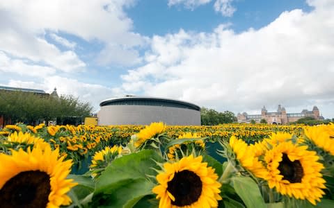 Amsterdam is home to the Van Gogh Museum - Credit: getty