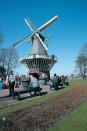 傳統木風車是荷蘭的標誌，花展上又怎能少了它的份兒？此處是遊人最愛登高臨望的地方。