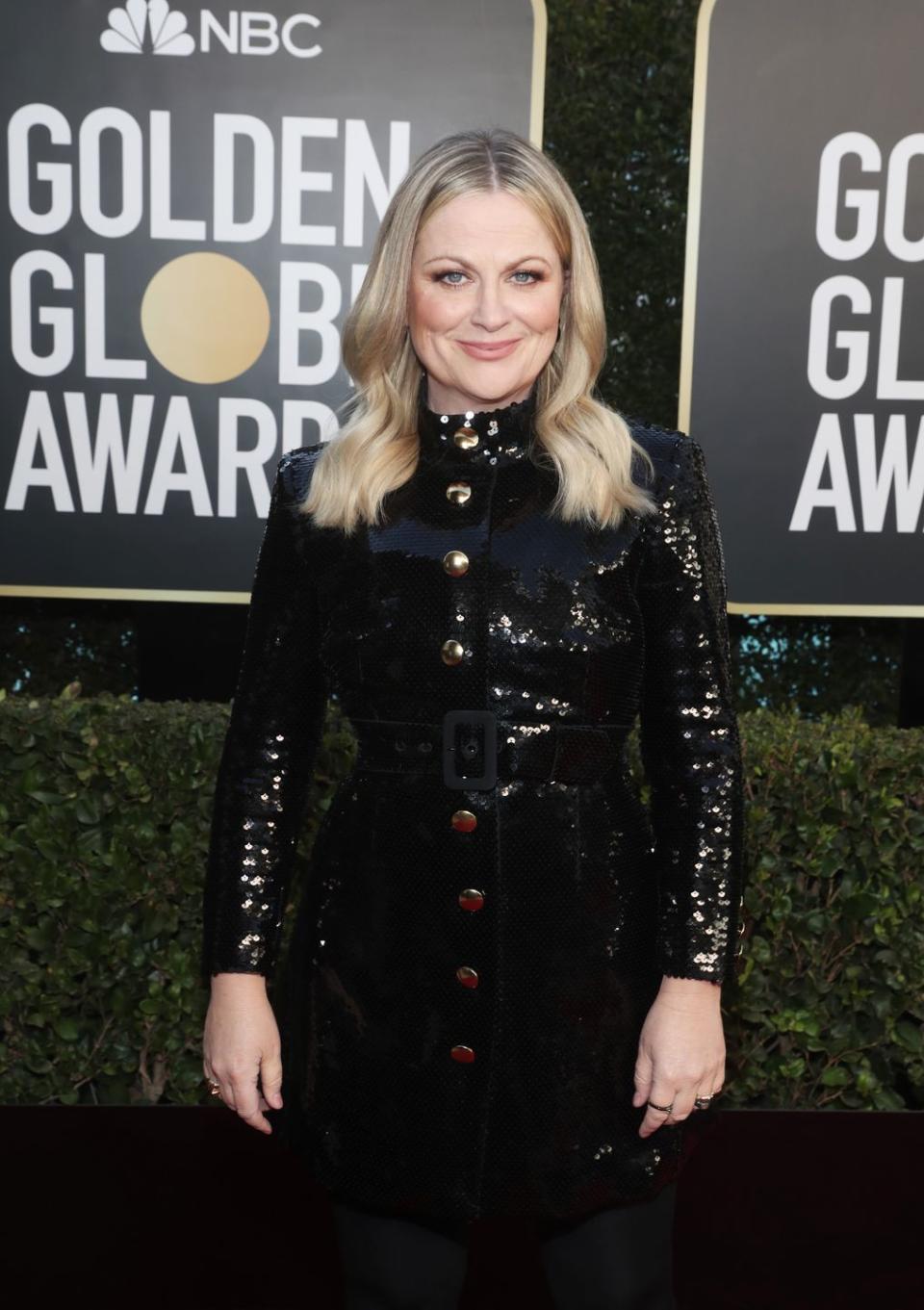 17) Amy Poehler