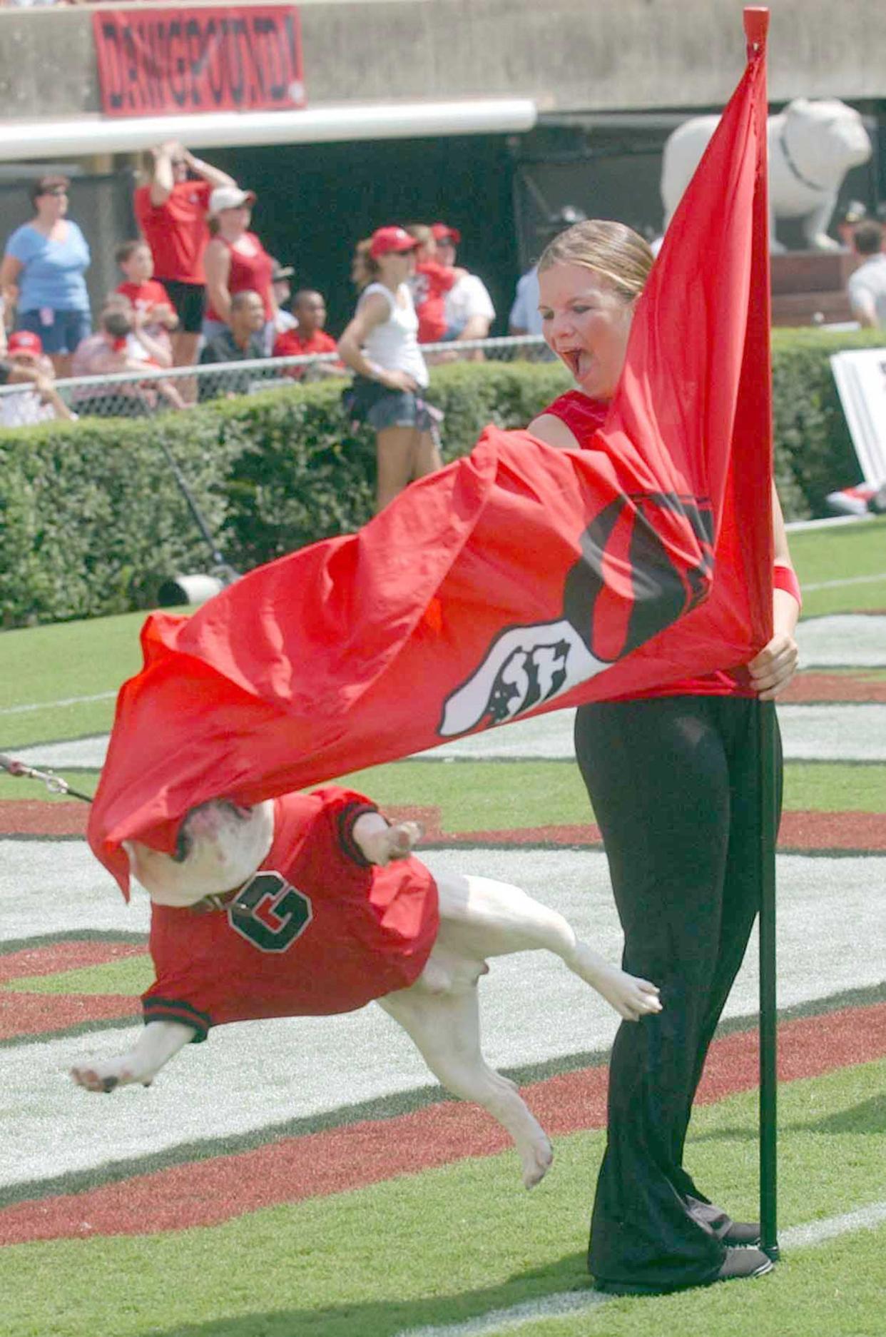 University of Georgia color guard Tiffany Luoma reacts as UGA VI leaps up and bites the flag before the start of the Bull Dogs season opener against Georgia Southern.