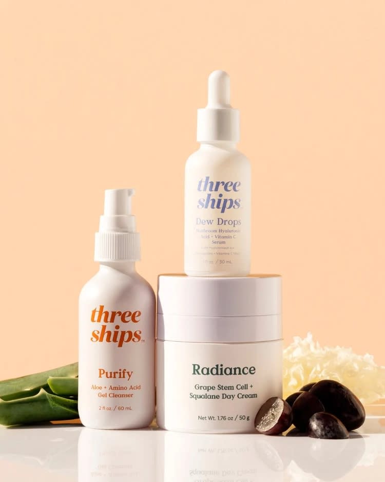 three ships beauty kit