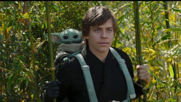 Grogu with Luke Skywalker in "The Book of Boba Fett"<p>Lucasfilm/Disney</p>