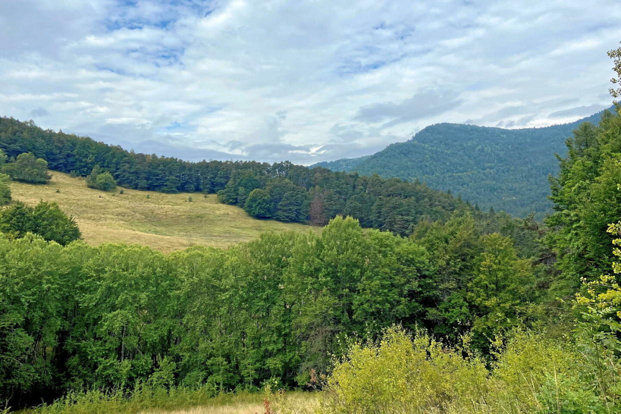 Vue depuis la route qui mène au hameau du Haut Vernet, où Émile a disparu le 8 juillet.  - Credit:Valentine Arama