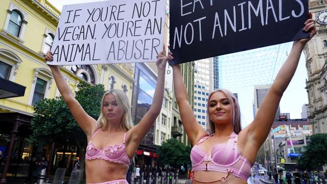 Vegan activist defies ban in 'chaotic' protest