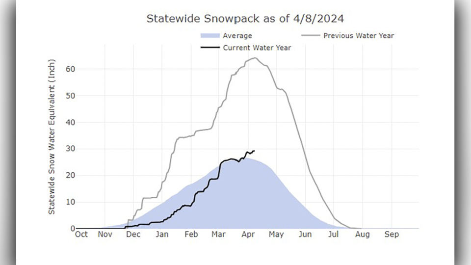 The black line shows this year's snowpack which is above average (solid blue.) Last year's snowpack, gray line, was double the average.