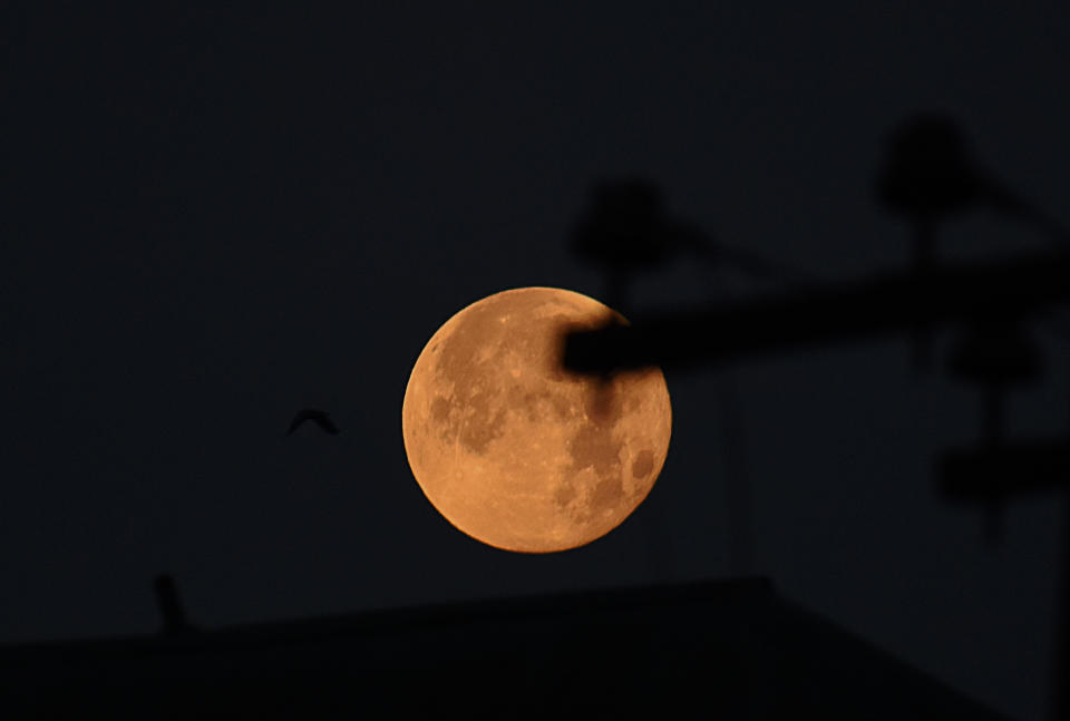 Super flower blood moon of May 2021 is seen in Srinagar, Kashmir.A "supermoon" occurs when a full moon is at its closest point to Earth in its elliptical orbit. The May full is known as the "flower moon" because it's typically at a time of year when spring flowers bloom. (Photo by Faisal Khan/NurPhoto via Getty Images)