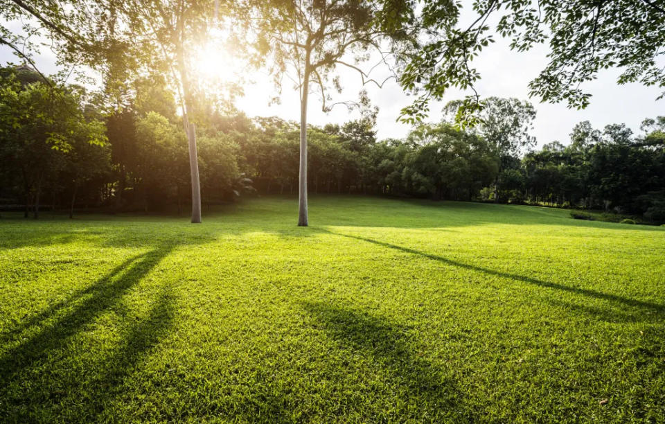 Grape Day Park via Getty Images