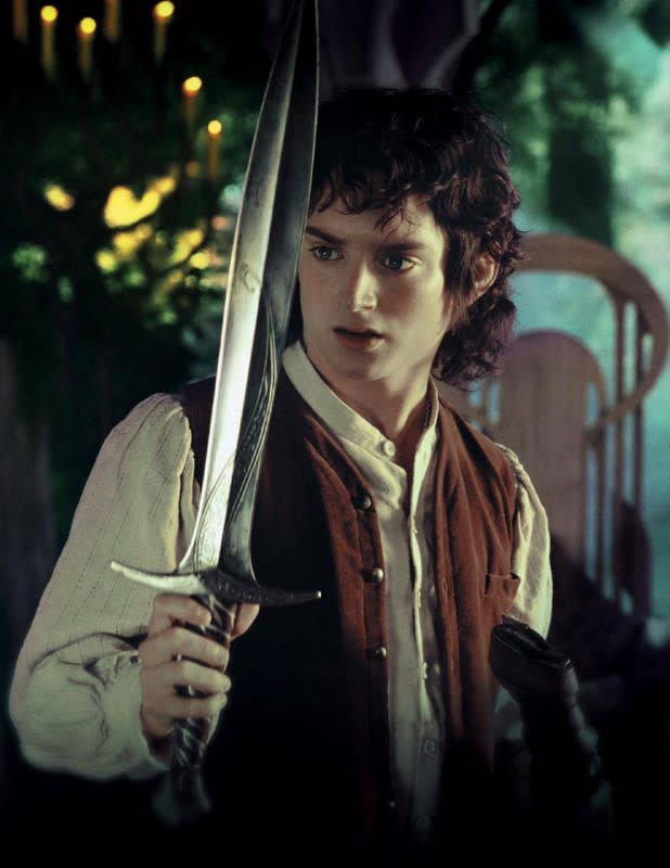 Elijah Wood as Frodo in "Lord of the Rings"<p>IMAGO / United Archives</p>