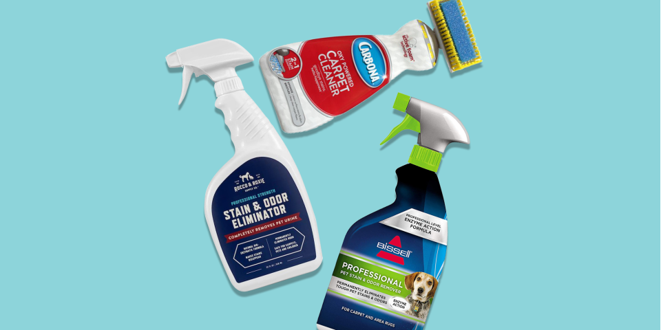 The Best Carpet Stain Removers to Zap New and Old Stains