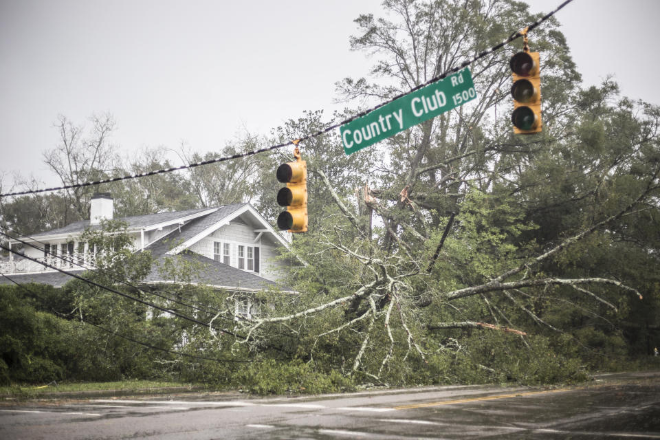 A fallen tree lies in front of a house in Wilmington.